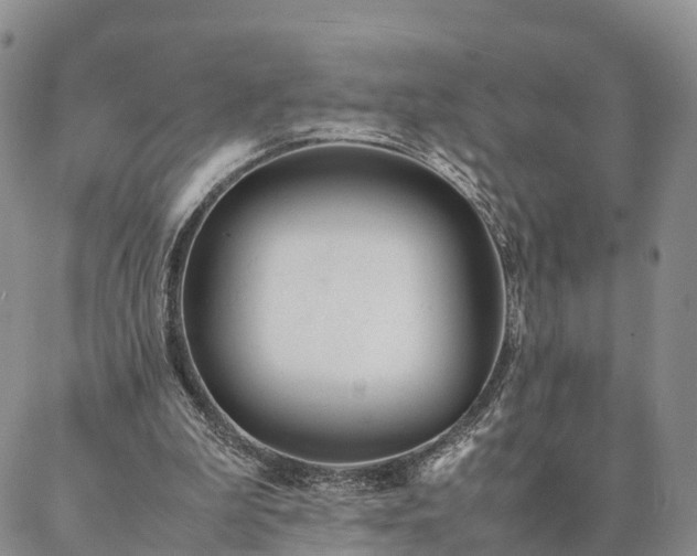 X0000087390199200704271630