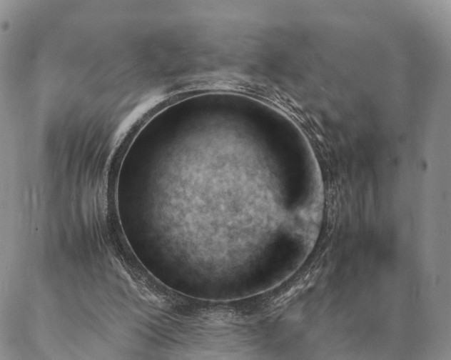 X0000087390200200704271630