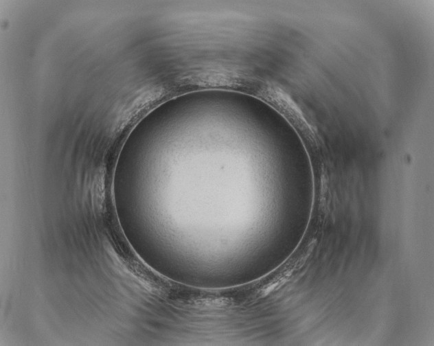 X0000087390202200704271630