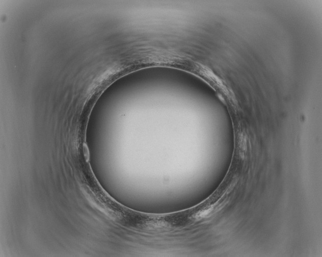 X0000087390203200704271630