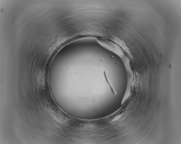 X0000087390204200704271630