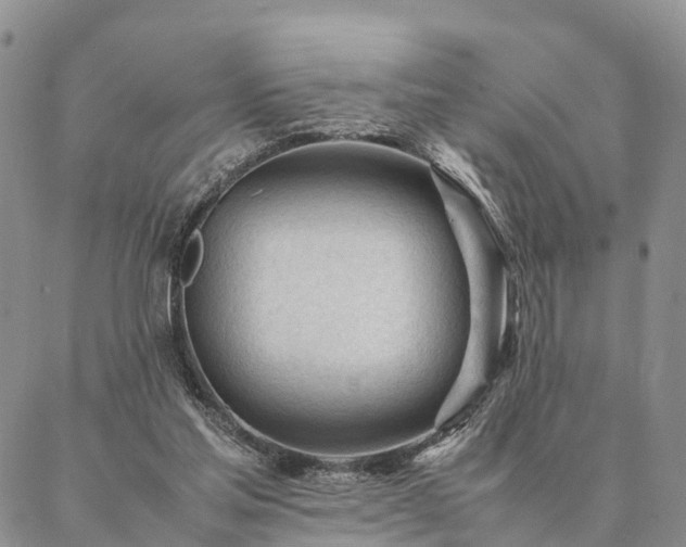 X0000087390205200704271630