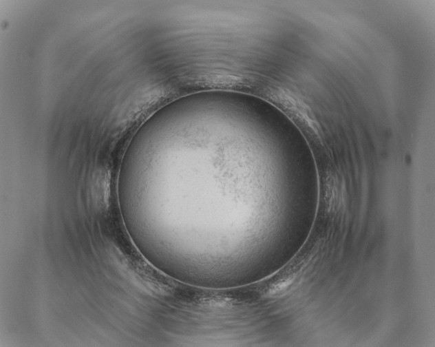 X0000087390206200704271630