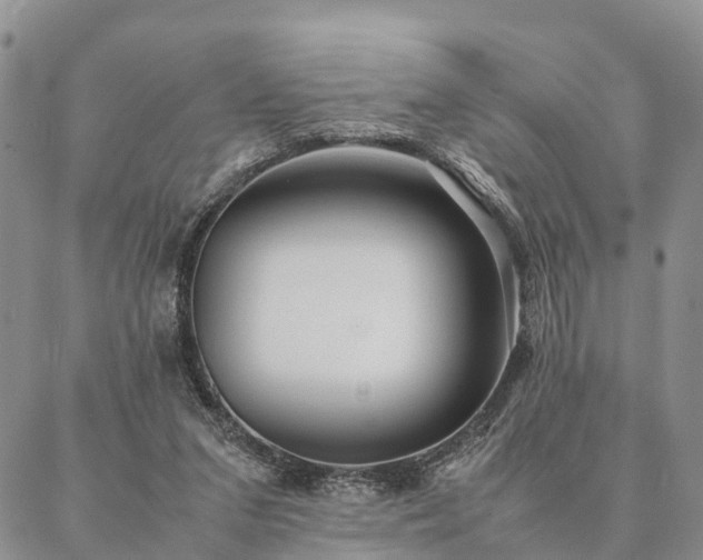 X0000087390207200704271630