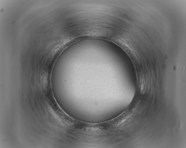 X0000087390208200704271630