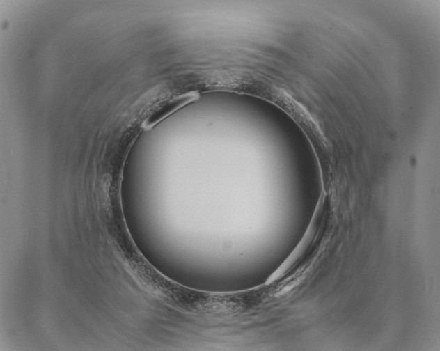 X0000087390209200704271630