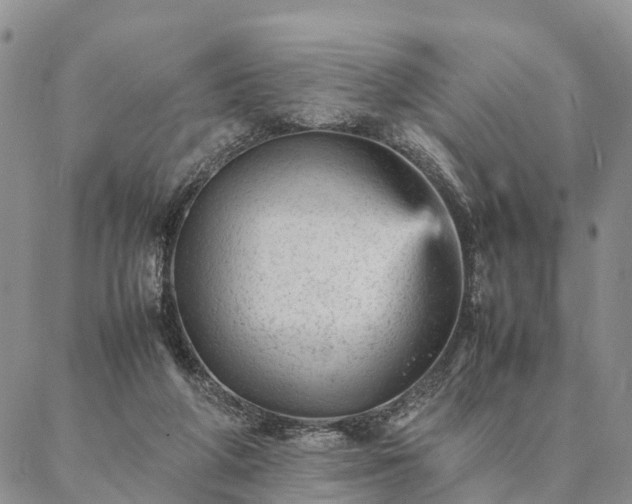 X0000087390210200704271630