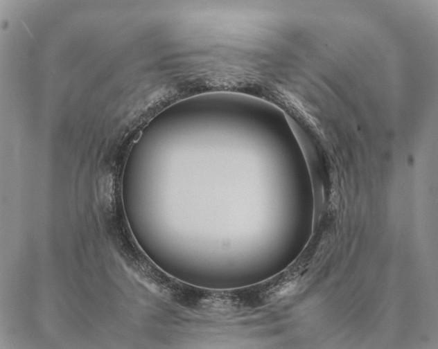 X0000087390211200704271630