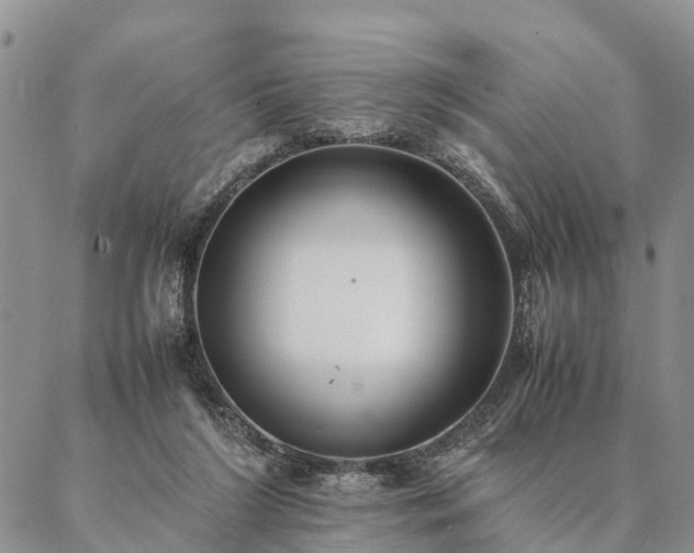 X0000087390212200704271630