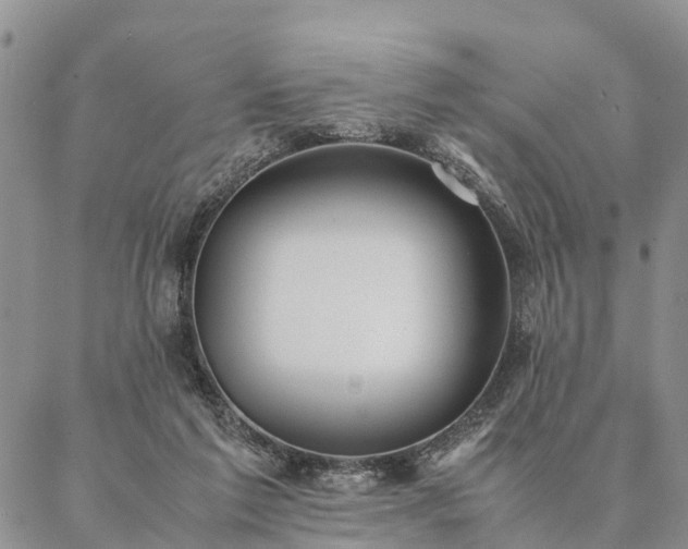 X0000087390213200704271630