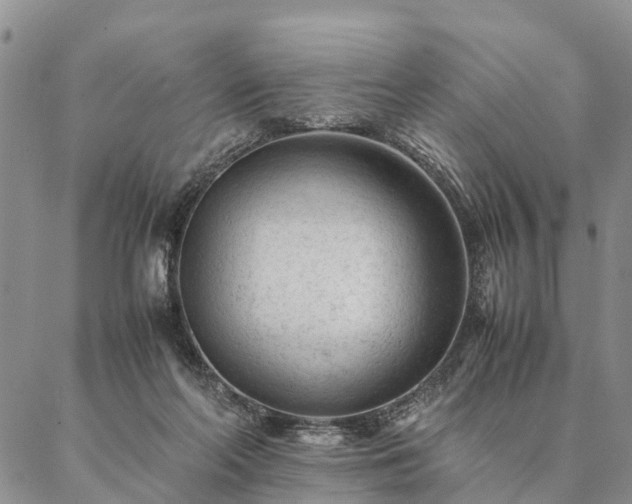 X0000087390214200704271630