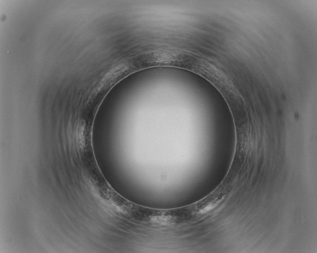 X0000087390216200704271630