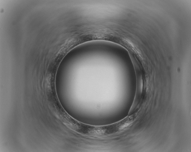 X0000087390217200704271630