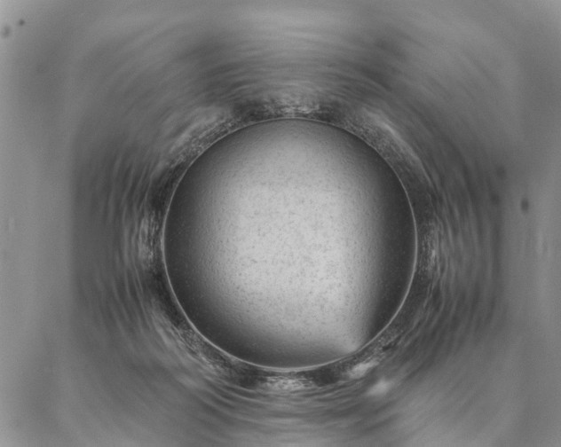 X0000087390218200704271630