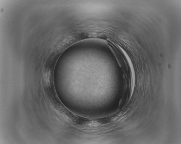 X0000087390219200704271630