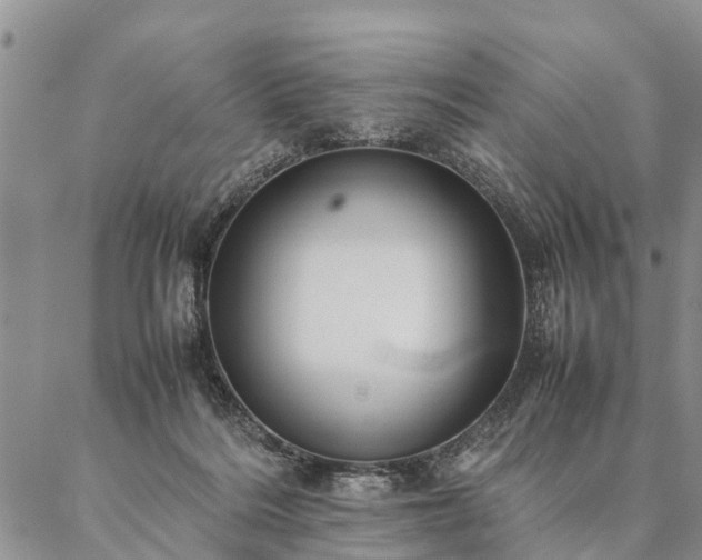 X0000087390220200704271630