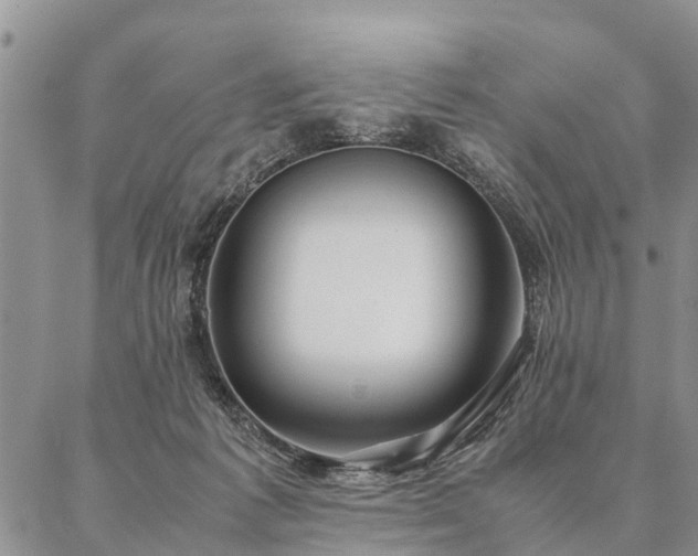 X0000087390221200704271630