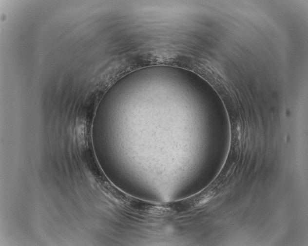 X0000087390222200704271630