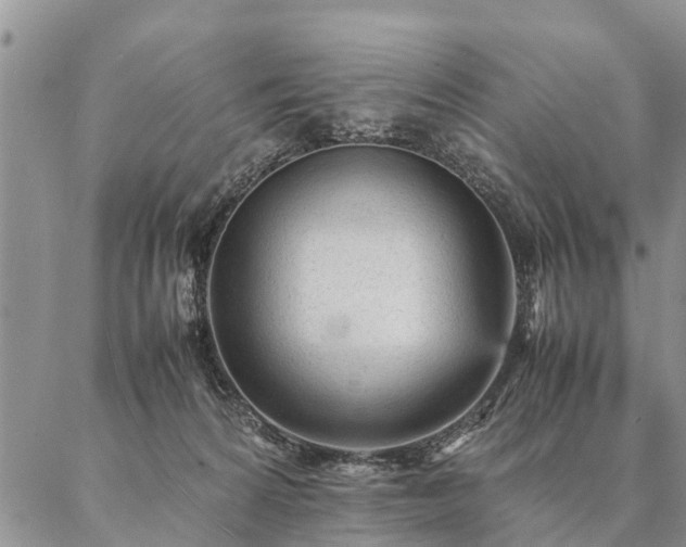 X0000087390224200704271630