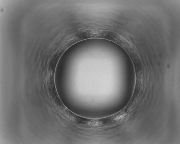 X0000087390225200704271630