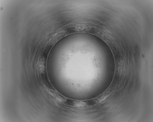 X0000087390226200704271630