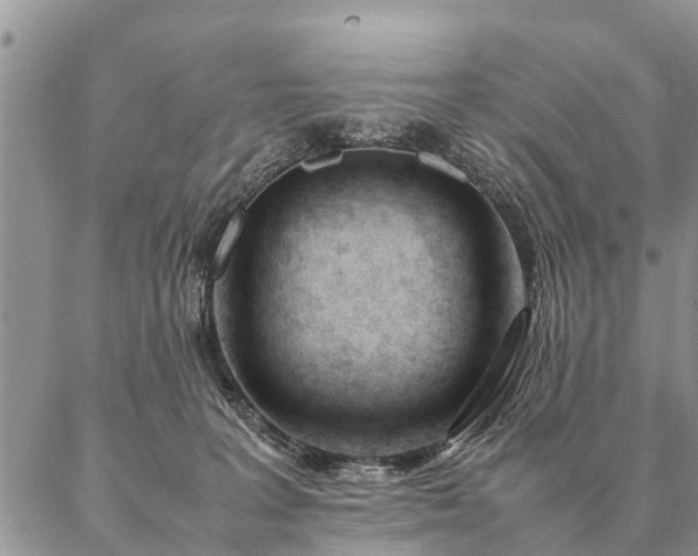 X0000087390227200704271630