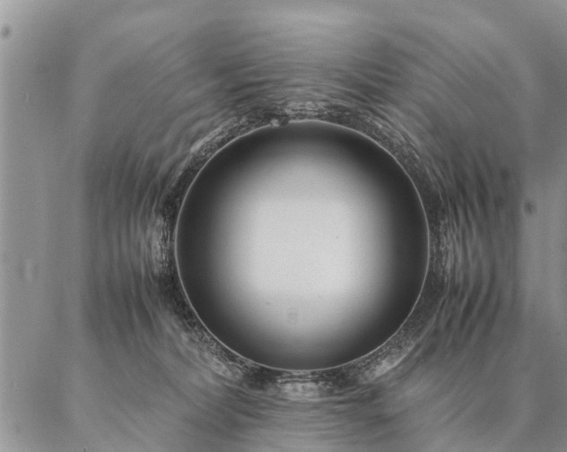 X0000087390228200704271630