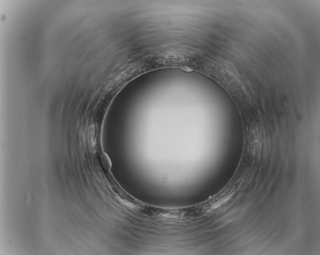 X0000087390232200704271630