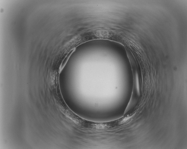 X0000087390233200704271630