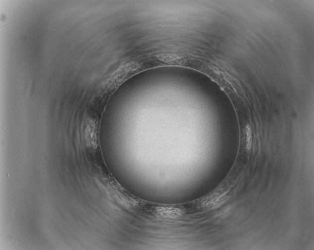 X0000087390234200704271630