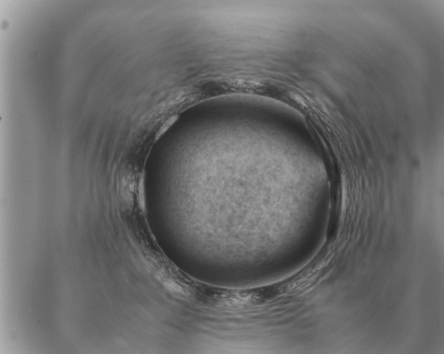 X0000087390235200704271630