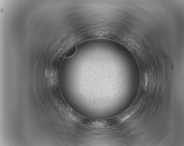 X0000087390236200704271630