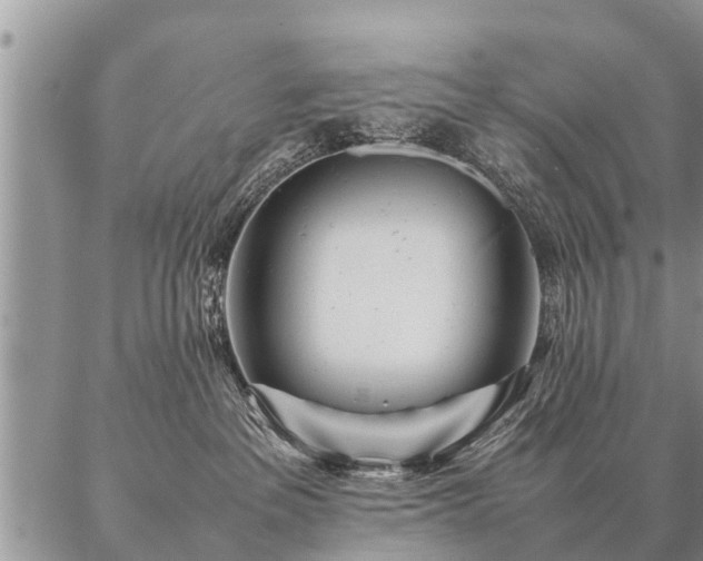 X0000087390237200704271630