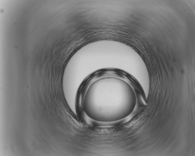 X0000087390239200704271630