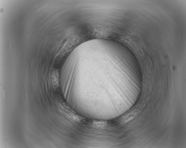 X0000087390240200704271630