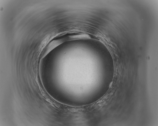 X0000087390241200704271629