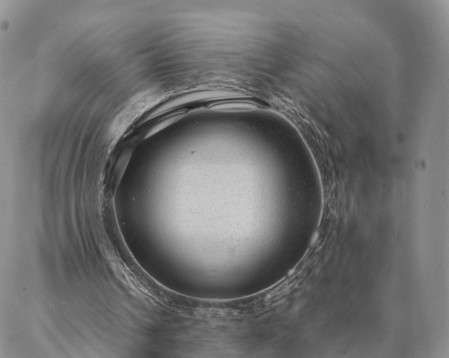 X0000087390242200704271629