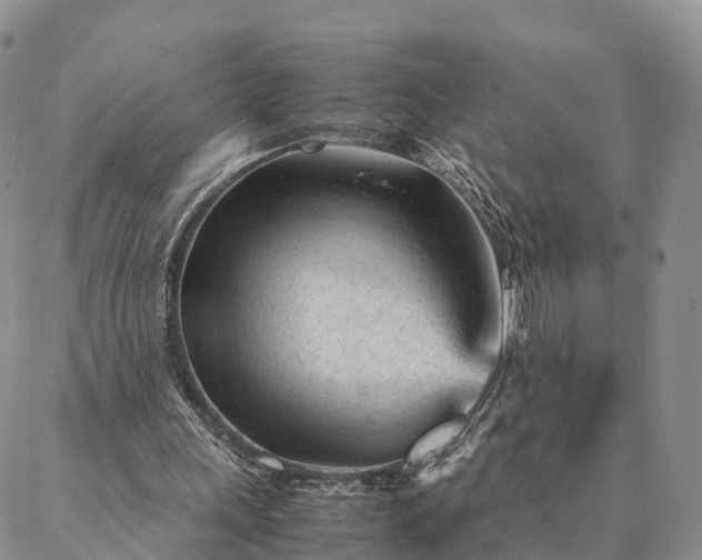 X0000087390243200704271629