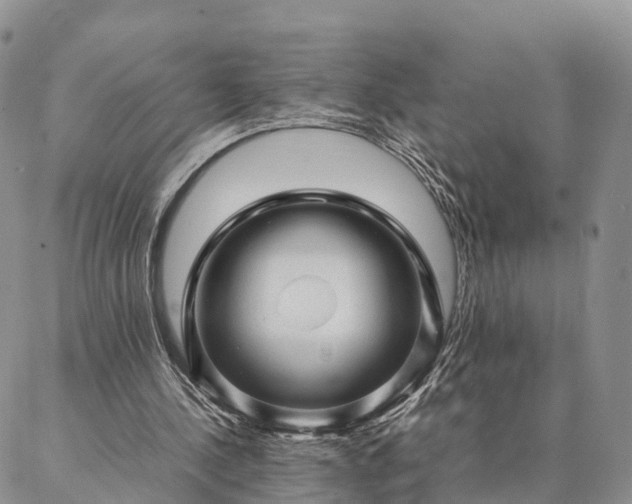 X0000087390244200704271629