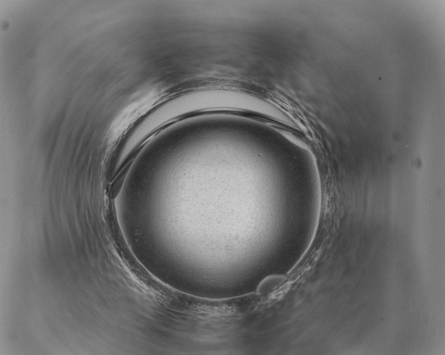 X0000087390245200704271629