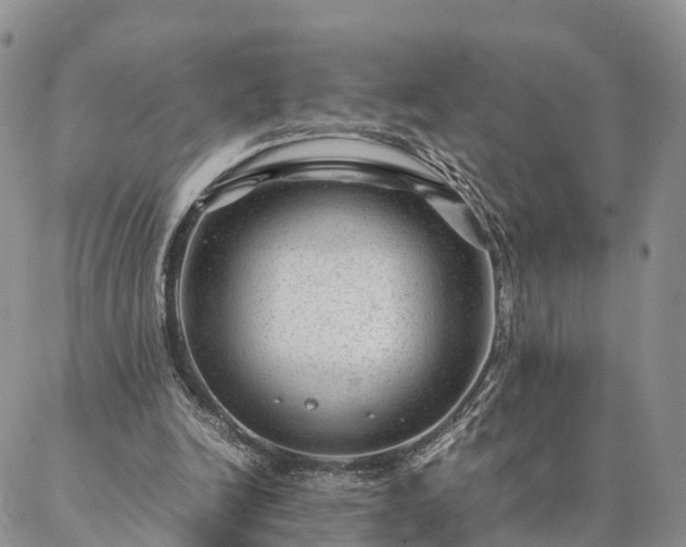 X0000087390246200704271629