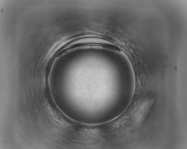 X0000087390247200704271629