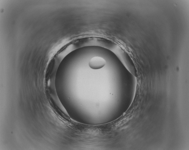 X0000087390248200704271629