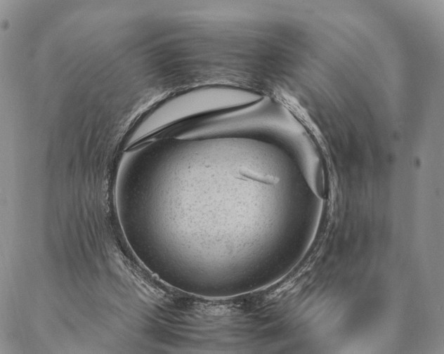 X0000087390249200704271629