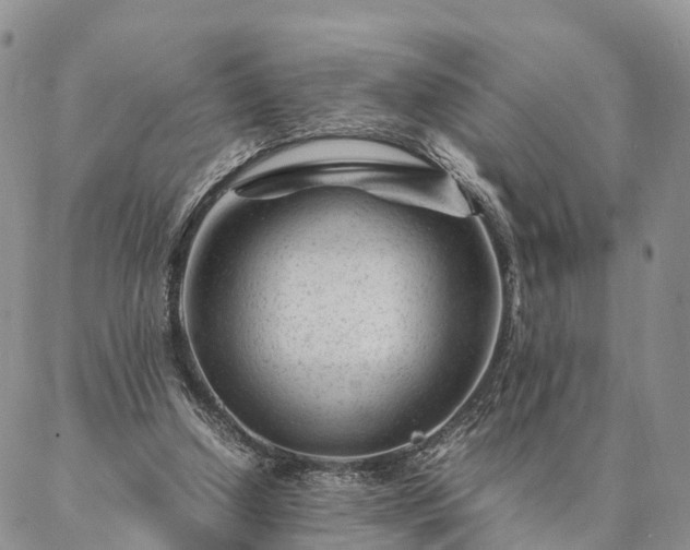 X0000087390250200704271629