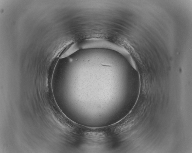 X0000087390251200704271629