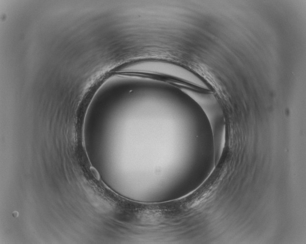 X0000087390252200704271629