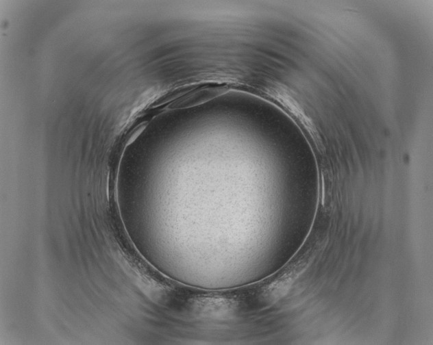 X0000087390253200704271629