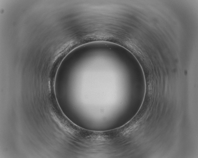 X0000087390254200704271629