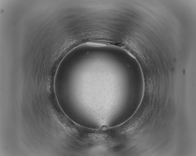 X0000087390255200704271629